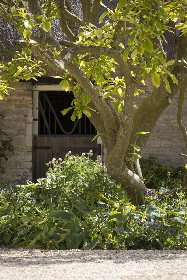 The Old Manor House Bed & Breakfast Halford  Dış mekan fotoğraf